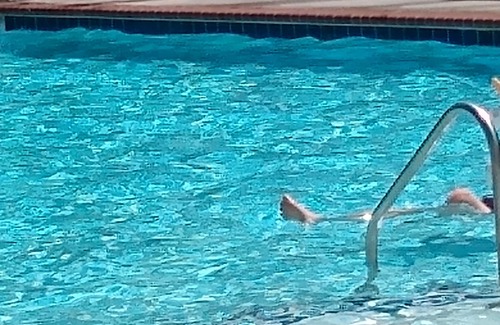 Lackey House | 1 Bedrooms in the estates at kings creek , Williamsburg, va