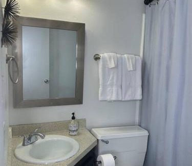 Fondren Apartment | 1 BR Loft Medical District Fondren