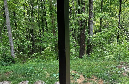 Allons House | 1 mile from Dale Hollow Lake Mitchell Creek Marina with boat rental available
