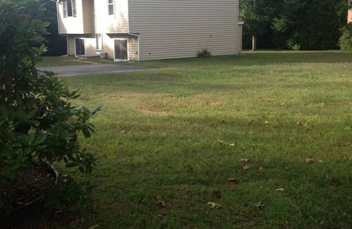 Narragansett Pier House | 1 Mile walk to the Beach! Summer Fun!