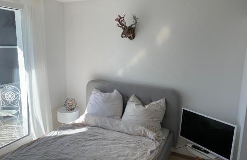 Leinfelden-Echterdingen Apartment | 1-Zi. Apartment, Echterdingen bei Flughafen/Messe Stgt.