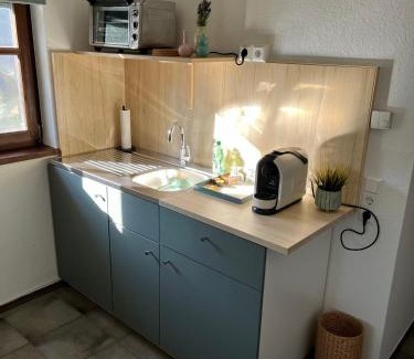 Waldfischbach-Burgalben Apartment | 1 Zimmer Whg Waldfischbach