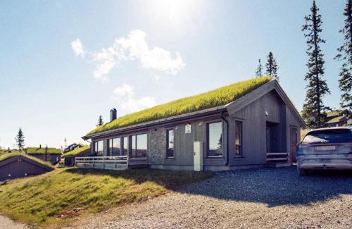Skeikampen House | 10 person holiday home in Fåvang