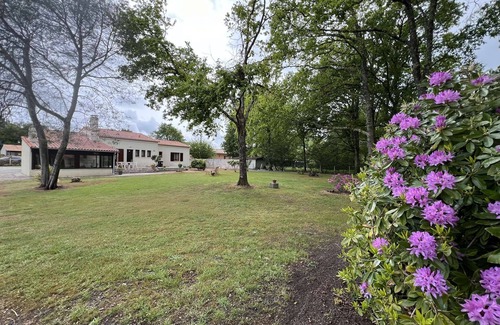Saint-Vivien-de-Medoc House | 105 - Superb house with its large green park