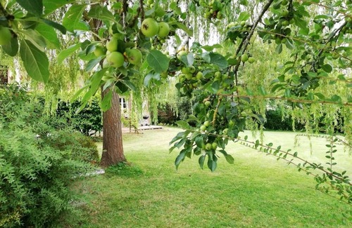 Le Mesnil-sur-Blangy House | 15 minutes from Deauville-Trouville, quiet, in a beautiful Norman property.