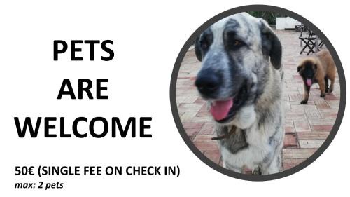 Alfarim Apartment | 16 Casa Azul