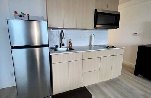 Downtown Baltimore Apartment | 1650/month Sweet Landing, WiFi, fitness room in Baltimore
