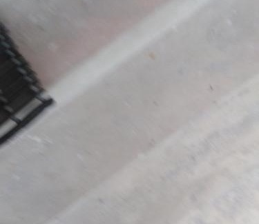 Amalinda Apartment | 17 driffield road