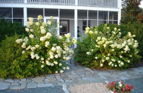 Gordonsville House | 1856 Manor House on 600-Acre Working Horse/Cattle Estate