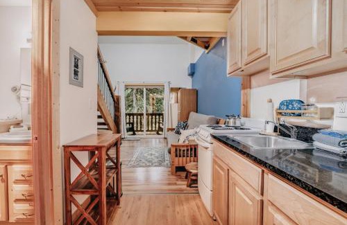 Glacier Apartment | 18SLL - Newly Remodeled - Sleeps 4 - Fireplace - WithD condo