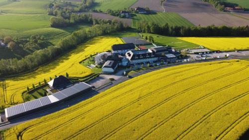 Kematen an der Krems Hotel | 1A Landhotel Schicklberg