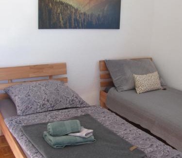 Unterallgau Apartment | #1Gemütliches ruhiges sonniges Balkonzimmer mit Gemeinschaftsbad W-Lan Airport nah Late Night Check in Haus Nr 9,5