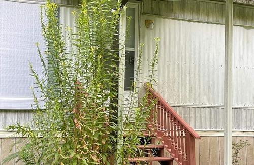 Greenup House | 2-bedroom trailer, with WiFi in Greenup County, in the middle of 260 acres.