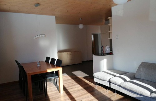 Wiler Apartment | 2 Bedrooms Apartment “Alleschwendi”