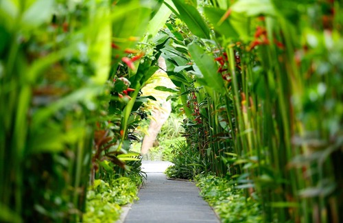 Nakula Villa | 2 BR Private Pool Villa, 5 mnts walking to the beach and Seminyak shopping area