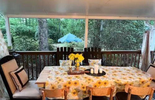 Lake Toxaway Cabin | 2 Cozy Bear Fun Cabins, Hiking Fire pit, waterfalls with Wifi kitchen Tree swing