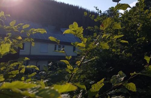 Bad Berleburg House | 2 in the Weidenhäuser Mill