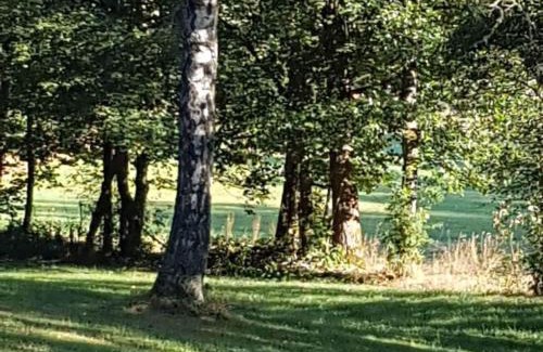 Bad Berleburg House | 2 in the Weidenhäuser Mill