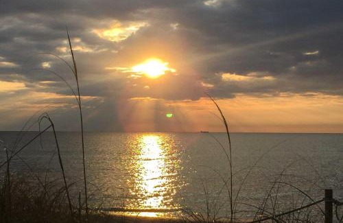 Dania Beach House | 2 Mi to Boardwalk Home with Grill in Dania Beach!