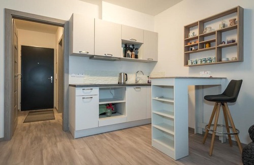Kosice Old Town Apartment | 2-Modern apartment in the Old Town