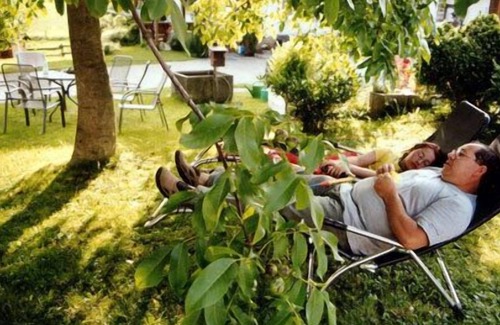 Bodnegg Apartment | 2-room vacation apartment (hops, cherry and walnut) 60sqm, 1 bedroom, max. 4 persons