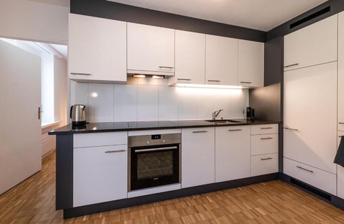 Langstrasse Apartment | 2 rooms apartment in district 4