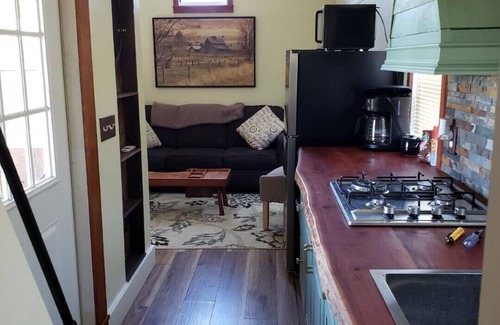 Howey-in-the-Hills House | 2 Tiny Homes on 6 acres with our horse. Rolling hills, pond, sunsets, fire pit.