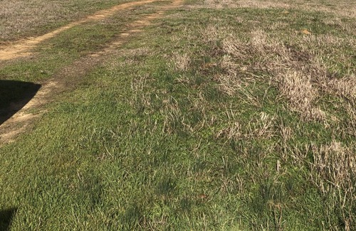 Hatfield RV Rental | 2024 Solar Eclipse Camping in Prime Location