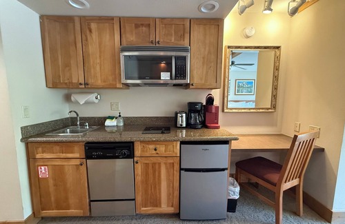 Crested Butte Condo | 205 Base area slope side views Mt. Crested Butte. Pet friendly