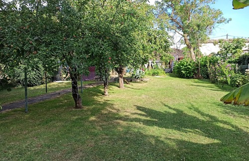 Saint-Fort-sur-Gironde House | 225m² house with pool, spa and billiard table