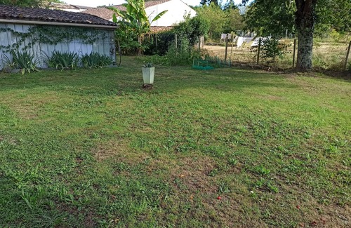 Saint-Fort-sur-Gironde House | 225m² house with pool, spa and billiard table