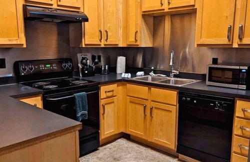 Downtown St. Louis Apartment | 2BR with W&D Mins To Americas Ctr STL Downtown