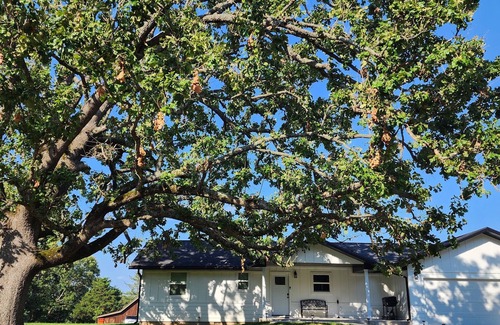 Arrow Point House | 3-bedroom 3 bath House at Sweetwater Beach. Kings River Arm of Table Rock Lake