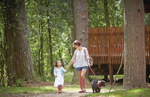 Pickering Cabin | 3 bedroom accommodation in Nr Pickering