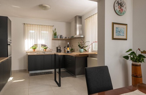 Rogocana House | 3 bedroom amazing home in Breg Ivanovci