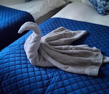 Portrush Apartment | 3 bedroom cottage outside Portrush sleeps 6