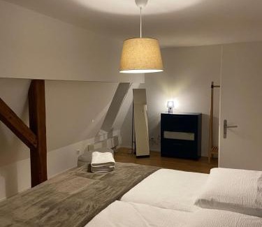 Alt-Wiedikon Apartment | 3 BR Duplex in Wiedikon