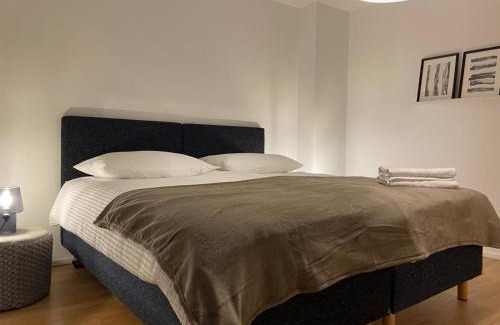 Alt-Wiedikon Apartment | 3 BR Duplex in Wiedikon
