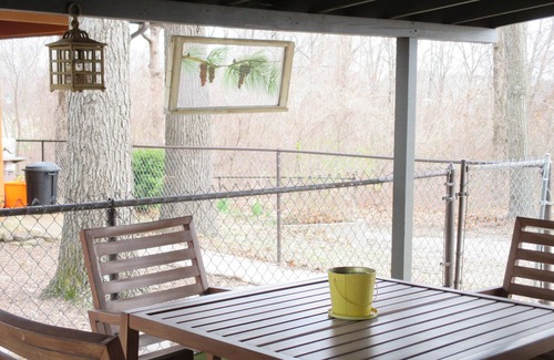Cassville Cabin | 3 BR Luxury Fishing Cabin-Fenced Yard-Pet Friendly-Outdoor Patio-Campfire ring