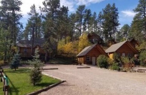 Rapid City Apartment | 3 Custom Built Log Cabin Bordered by Black Hills National Forest