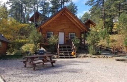 Rapid City Apartment | 3 Custom Built Log Cabin Bordered by Black Hills National Forest