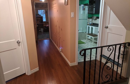 East Kildonan House | 3 floors character house