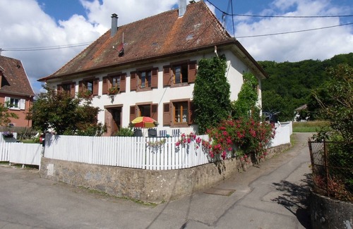 Breitenbach-Haut-Rhin Apartment | 3-room apartment with garden in Breitenbach (Grand-Est)