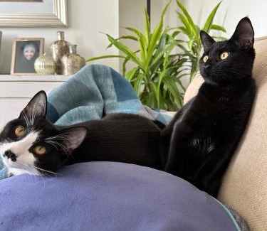 Dundrum House | 30 minutes to city centre