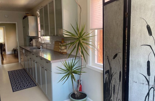 East End House | 3bd Cozy Sunfilled House with Deck Patio Garden - Alameda Oakland Airport