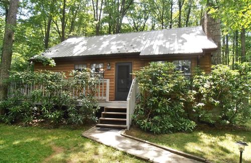 Oakland Cabin | 3BR Cabin, Hot Tub, Lake Access, Pet-Friendly – 30% Weekly Discount Excl. Summer