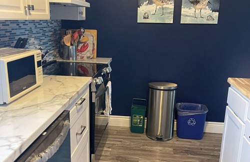 Cardigan Apartment | 4 Bedroom Lower Deck Apt sleeps 8 close to Brudenell/Dundarave Golf