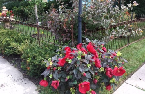 Lake Geneva House | 4-bedroom vacation home just 10 minutes from Geneva Lake