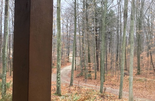 Egg Harbor Cabin | 40 acres, private trails, AT&T fiber optics, Fireplace - 2 day Winter Escape!