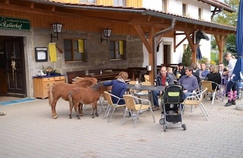 Neunburg vorm Wald Apartment | 40qm großes App. im 1. Stock in ruhiger Lage